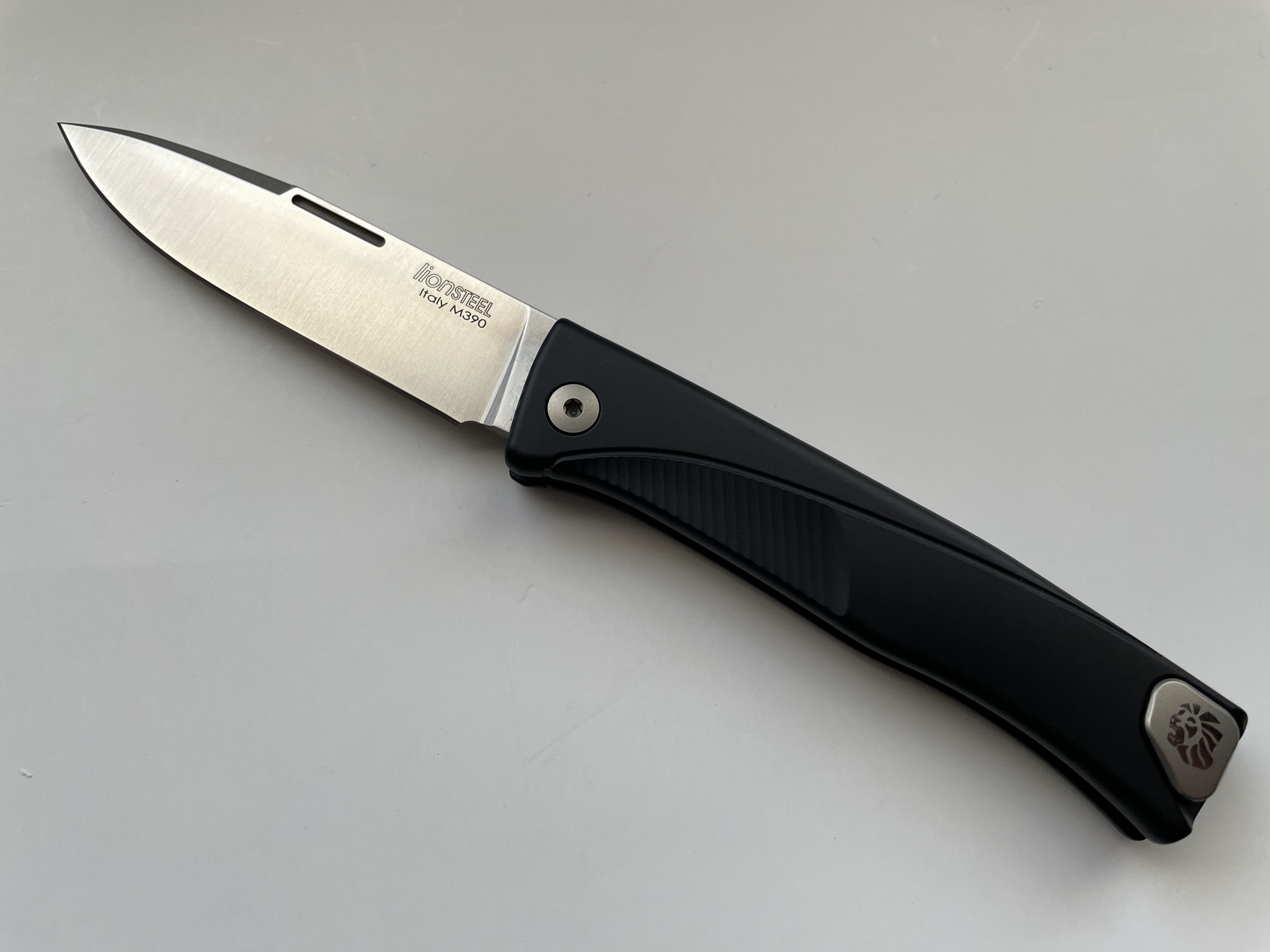 lionsteel_2
