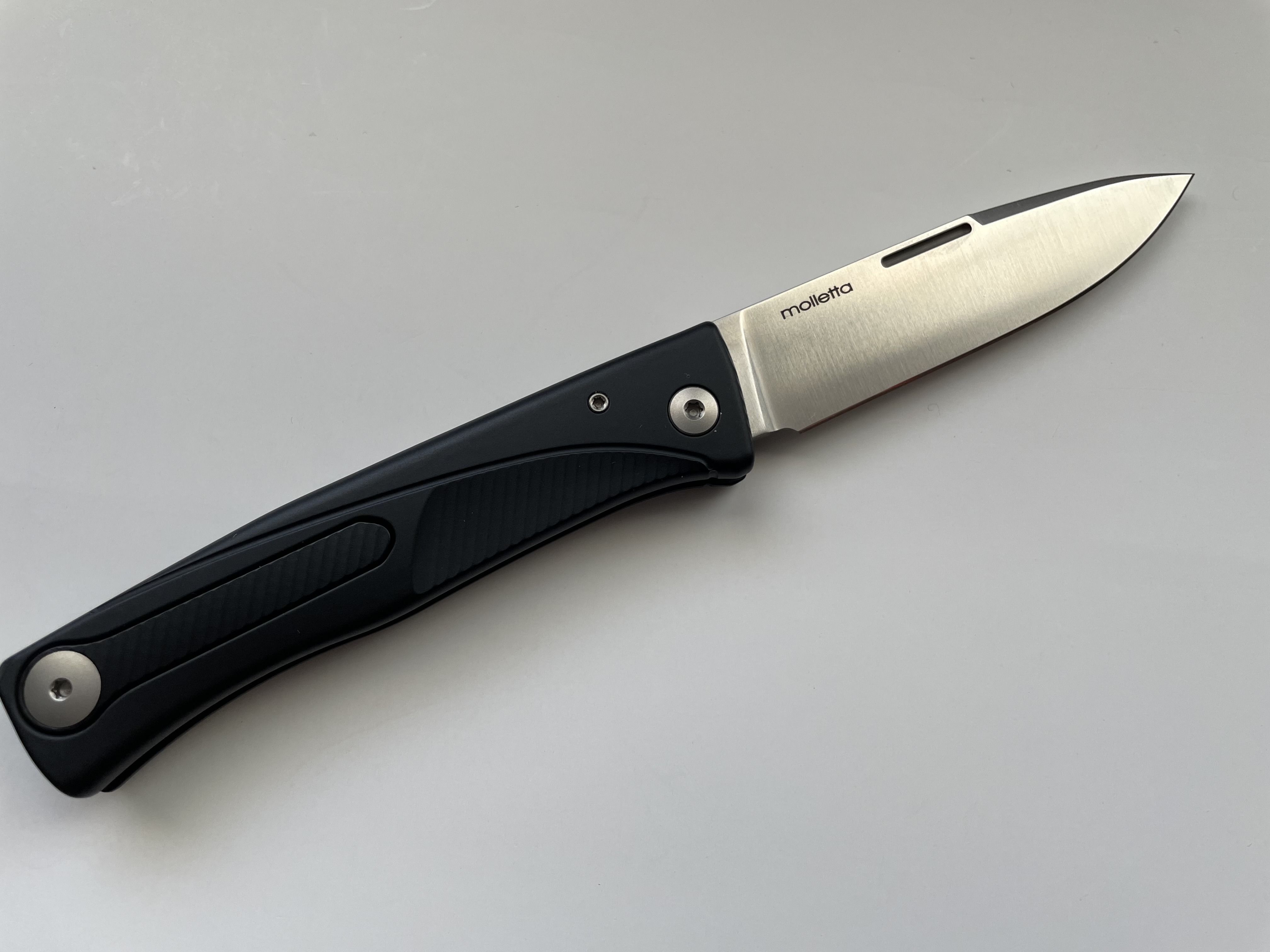 lionsteel_3